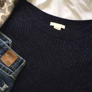 H&M Navy Blue Glitter Sweater Sz M